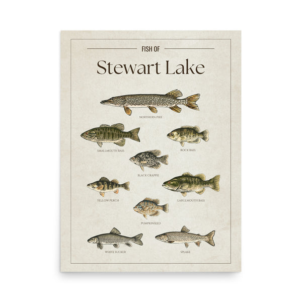 Stewart Lake Print