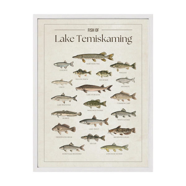 Lake Temiskaming Print