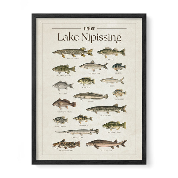 Lake Nipissing Print