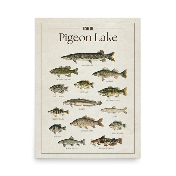 Pigeon Lake Print