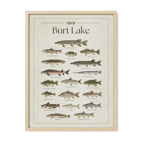 Burt Lake Print