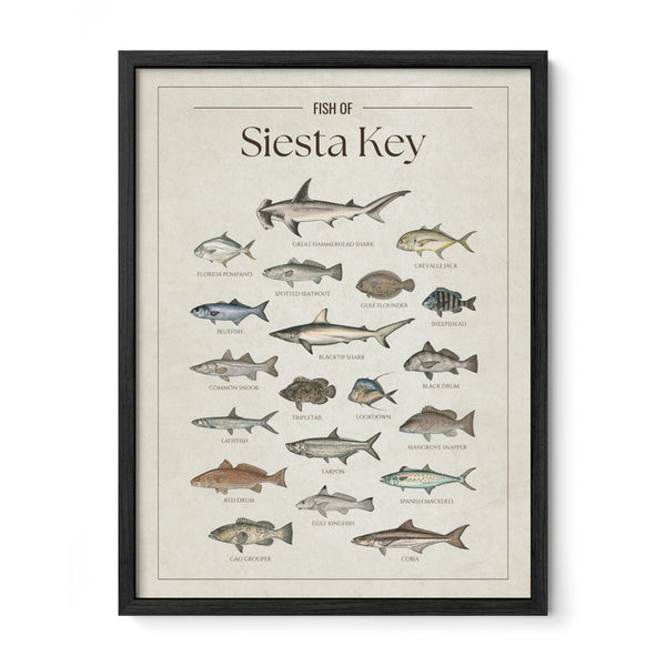 Siesta Key Print