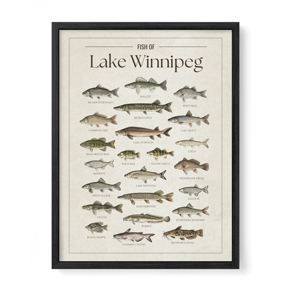 Lake Winnipeg Print