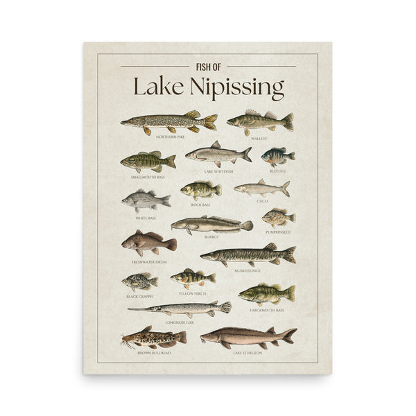 Lake Nipissing Print