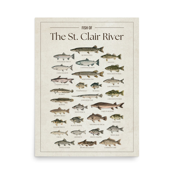 St. Clair River Print