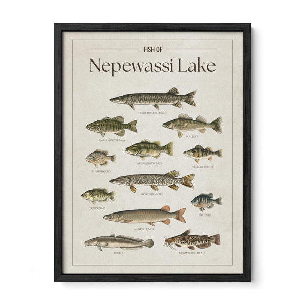 Nepewassi Lake Print