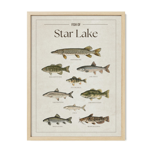 Star Lake Print