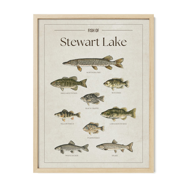 Stewart Lake Print