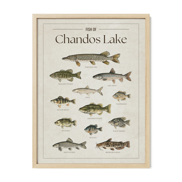 Chandos Lake Print