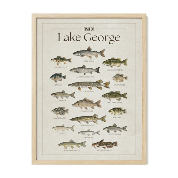 Lake George Print