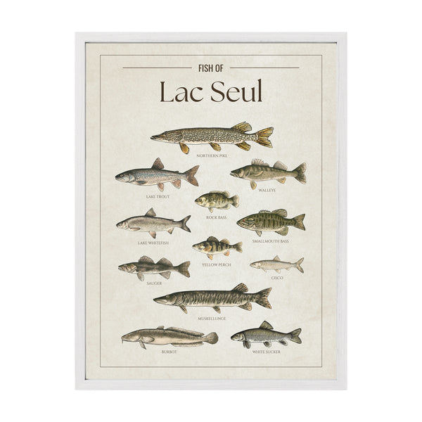 Lac Seul Print