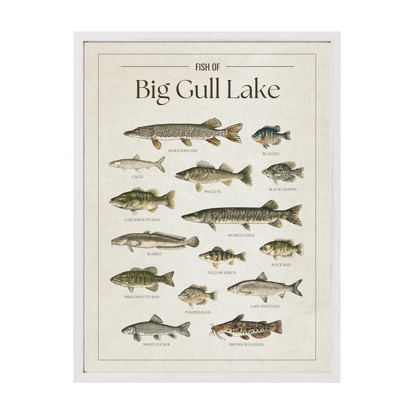 Big Gull Lake Print