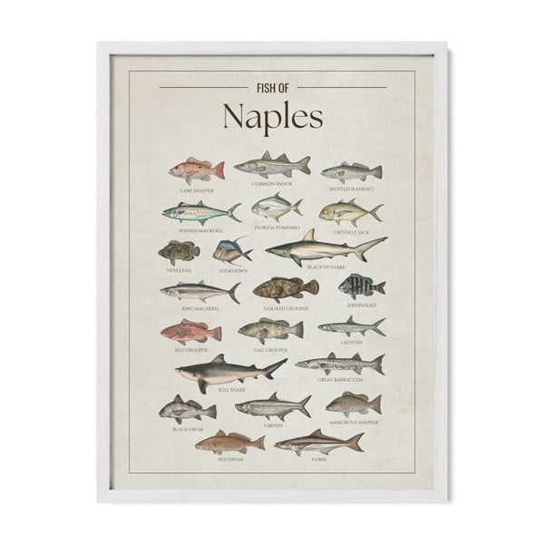 Naples Print