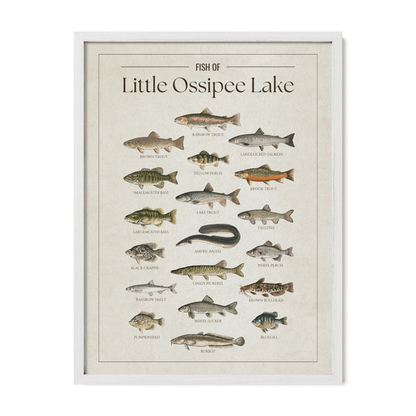 Little Ossipee Lake Print