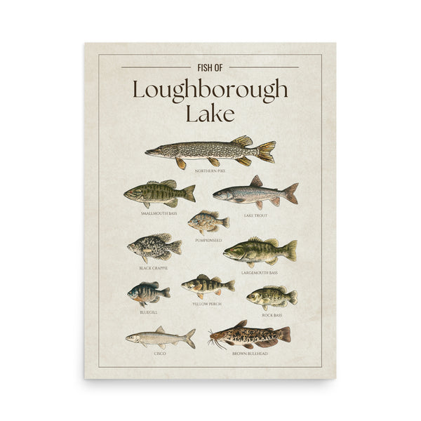 Loughborough Lake Print