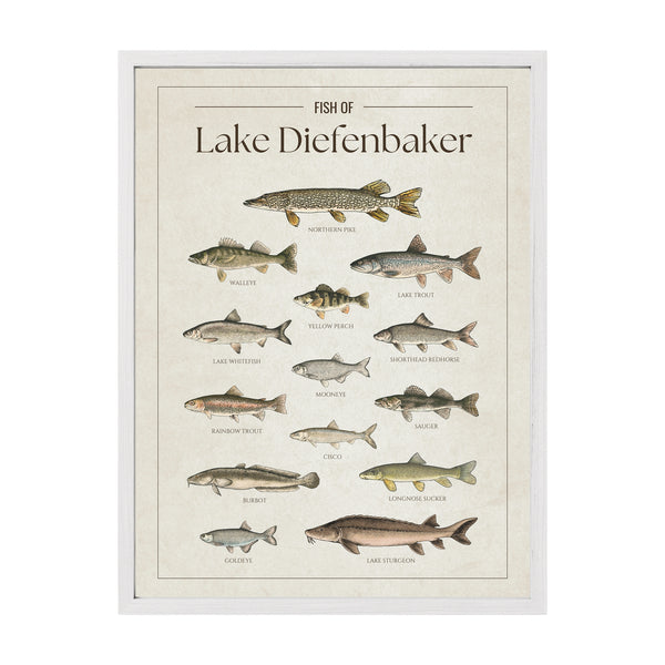 Lake Diefenbaker Print