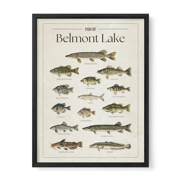 Belmont Lake Print
