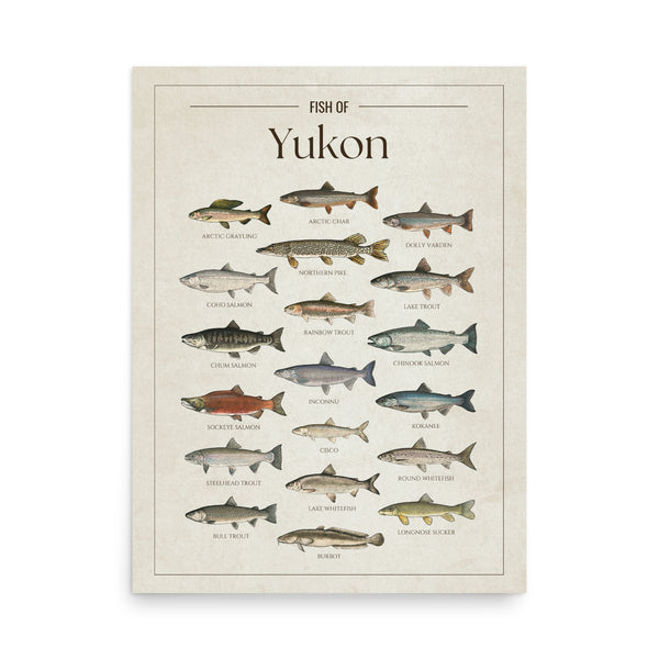 Yukon Print