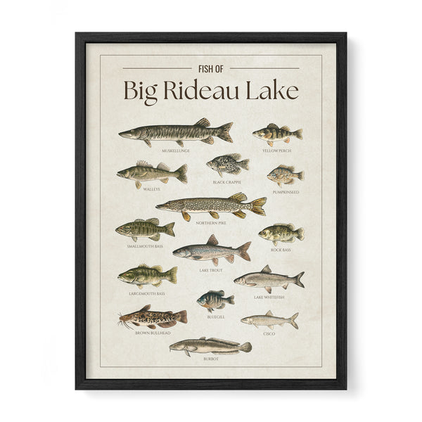 Big Rideau Lake Print
