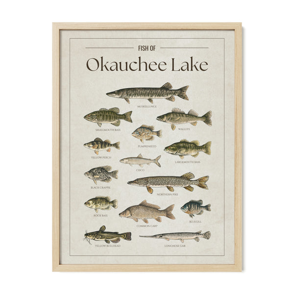 Okauchee Lake Print
