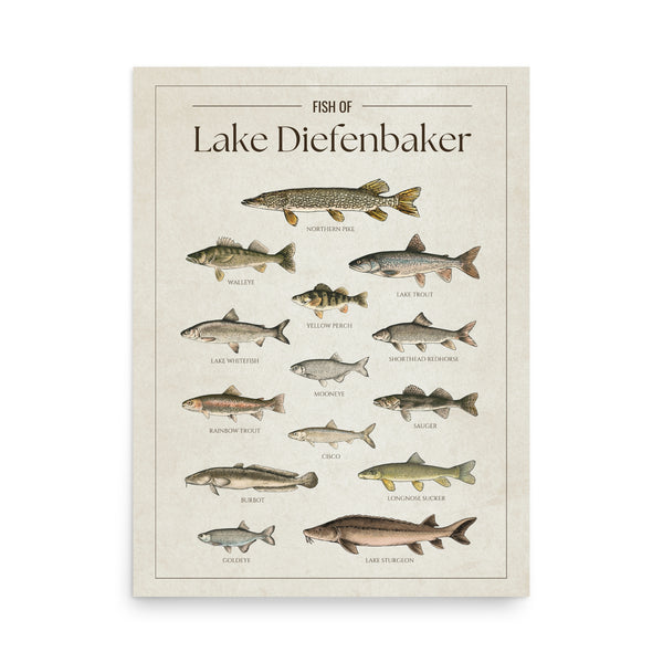 Lake Diefenbaker Print