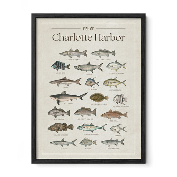 Charlotte Harbor Print