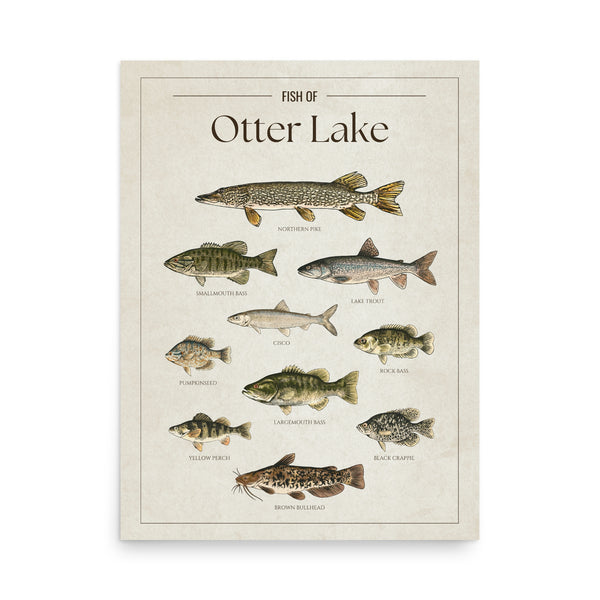 Otter Lake Print