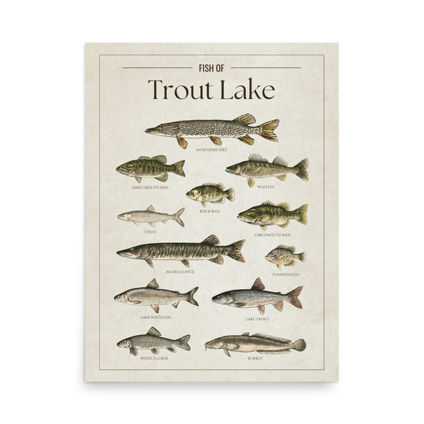 Trout Lake Print