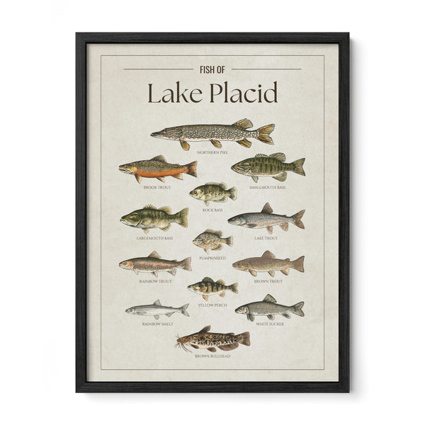 Lake Placid Print