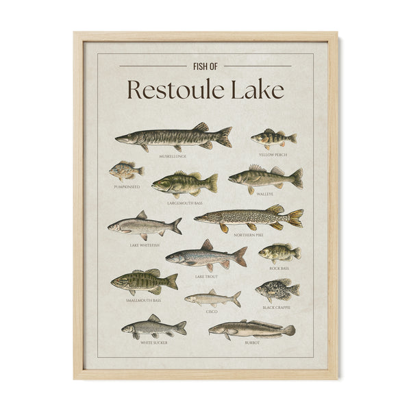 Restoule Lake Print