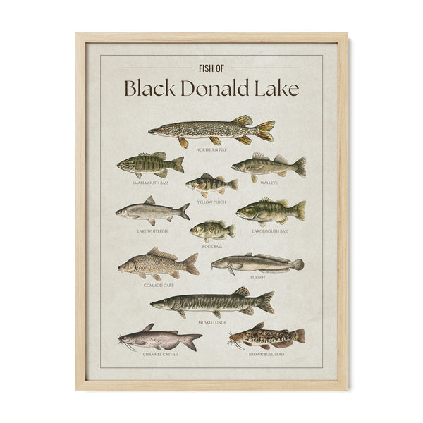 Black Donald Lake Print