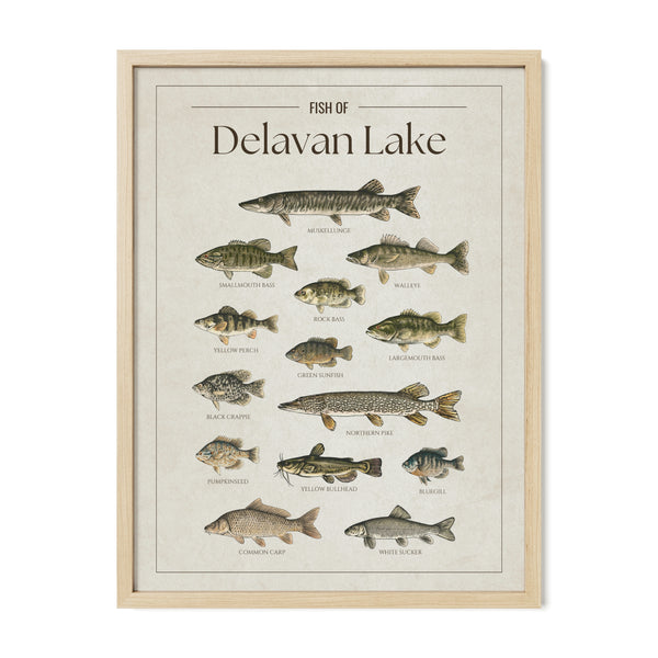 Delavan Lake Print