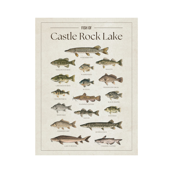 Castle Rock Lake Print