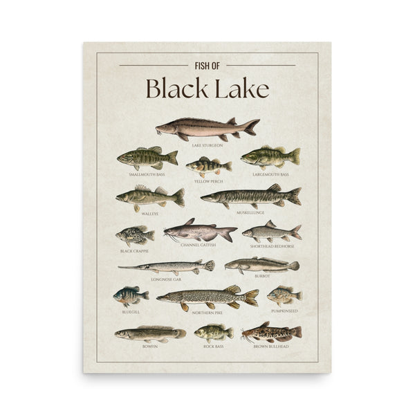 Black Lake (Michigan) Print
