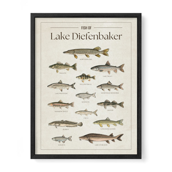 Lake Diefenbaker Print