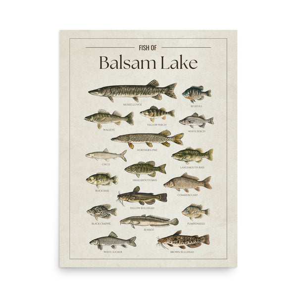 Balsam Lake Print