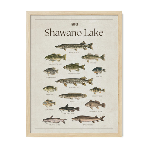 Shawano Lake Print