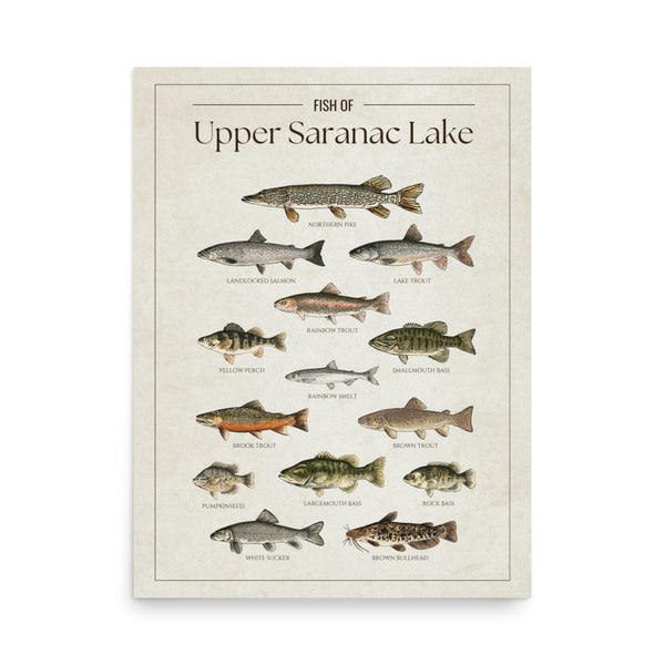 Upper Saranac Lake Print