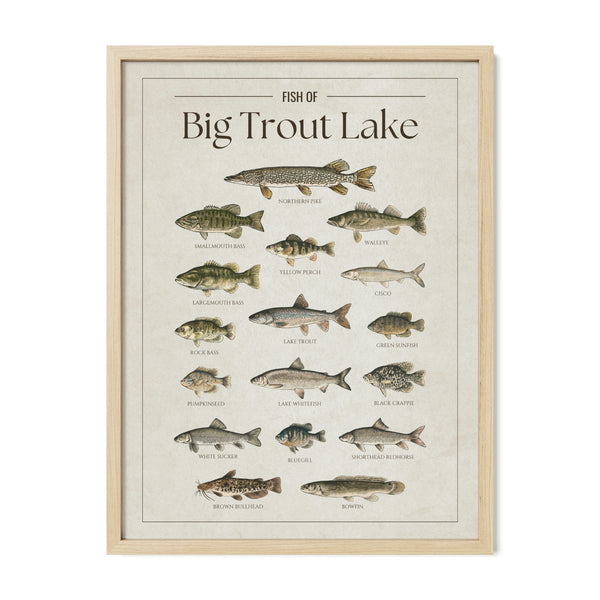 Big Trout Lake Print