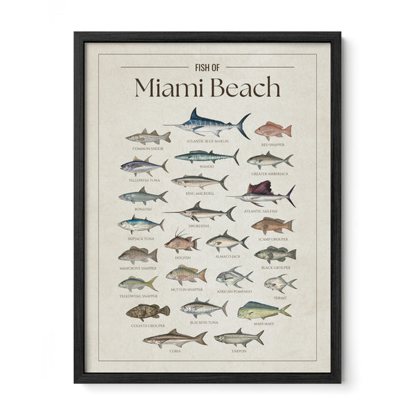 Miami Beach Print