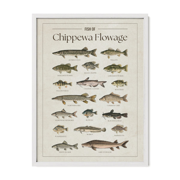 Chippewa Flowage Print