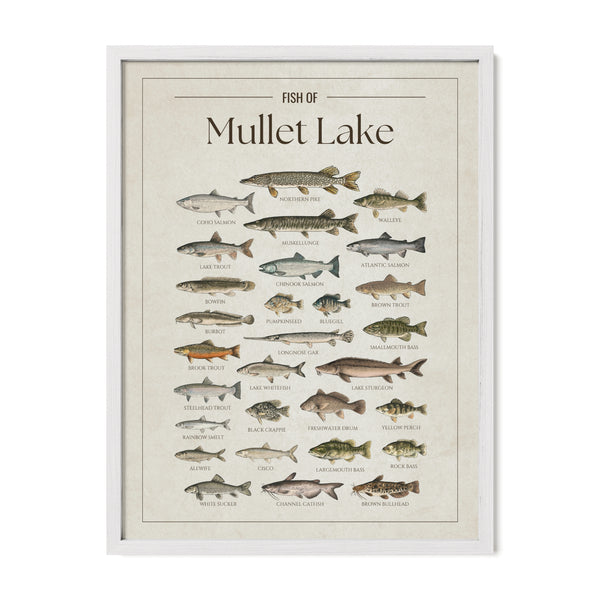 Mullet Lake Print