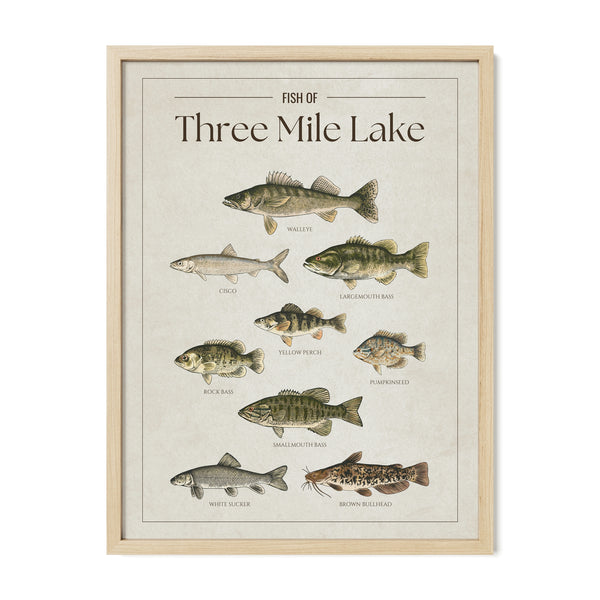 Three Mile Lake Print