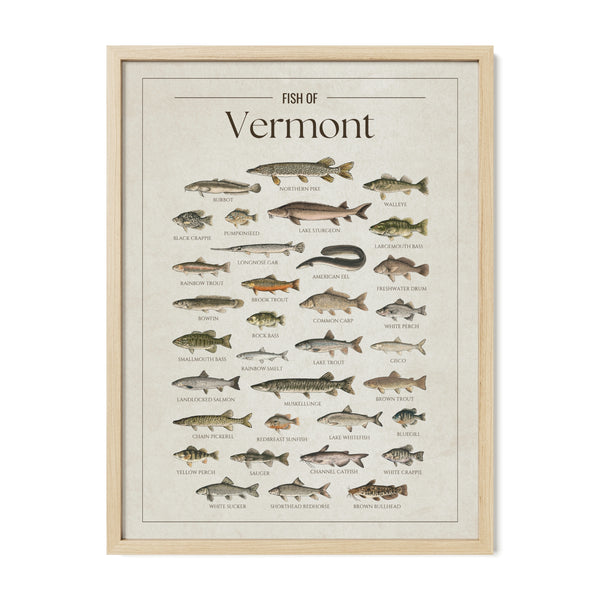 Vermont Print