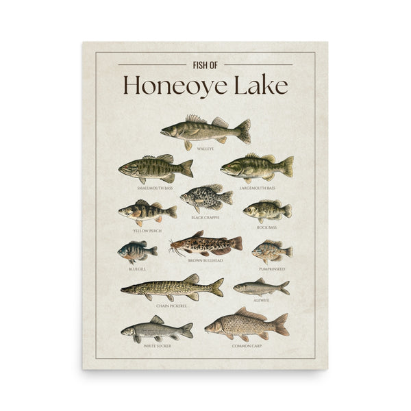 Honeoye Lake Print