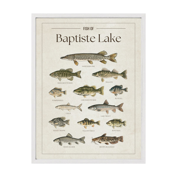 Baptiste Lake Print