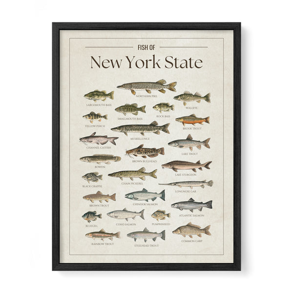 New York State Print