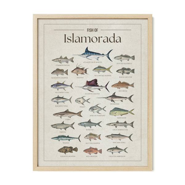 Islamorada Print