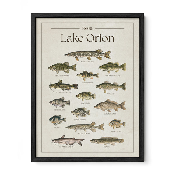 Lake Orion Print