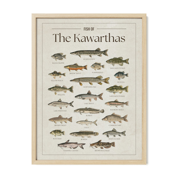 Kawarthas Print